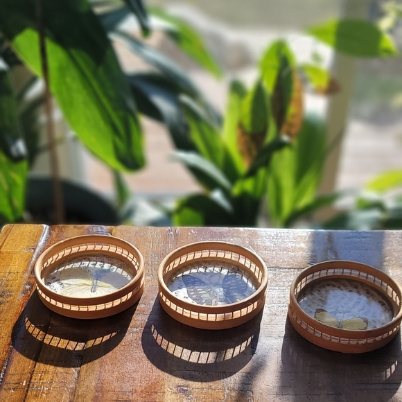 Set of 3 Butterfly 🦋 Coasters - Picture 5 of 6